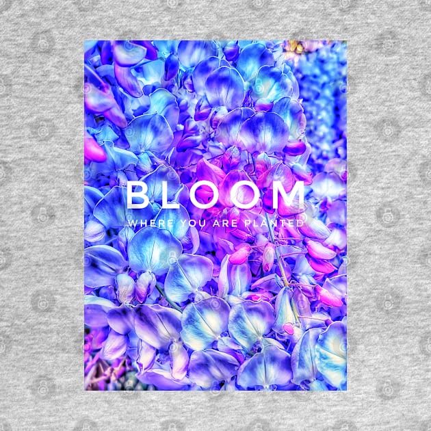 Bloom where you are planted by kourai